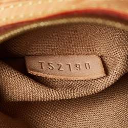 Pre Owned Louis Vuitton Monogram Canvas Delightful PM Bag