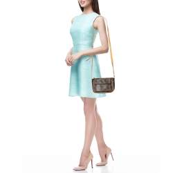 Pre Owned Louis Vuitton Monogram Canvas Viva Cite PM Bag