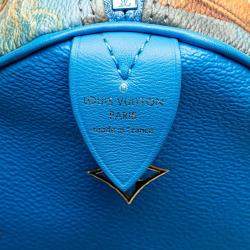 Louis Vuitton Multicolour Leather Masters Rubens Speedy 30 Satchel Bag