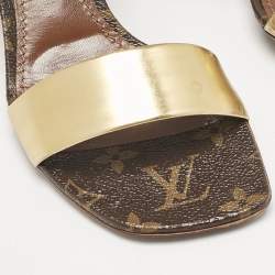 Louis Vuitton Brown/Gold Leather Bloom Ankle Strap Sandals Size 36