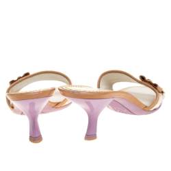 Pre Owned صندل سلايد لوي فيتون جلد وكانفاس مونوغرامي متعدد الألوان مقاس 36