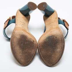 Louis Vuitton Blue/Brown  Leather Ankle Strap Sandals Size 39