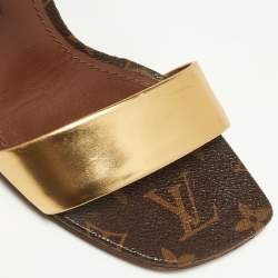 Pre Owned Louis Vuitton Brown/Gold Leather Bloom Ankle Strap Sandals Size 36