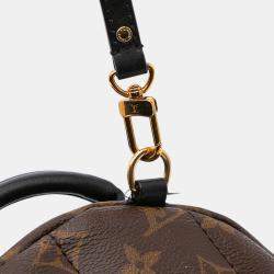 Louis Vuitton Brown Monogram Canvas Mini Palm Springs Backpack