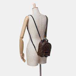 Louis Vuitton Brown Monogram Canvas Mini Palm Springs Backpack