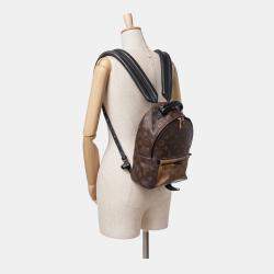 Louis Vuitton Brown Monogram Reverse Palm Springs PM