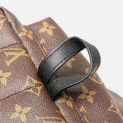 Louis Vuitton Monogram Palm Springs PM