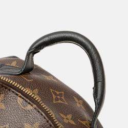 Louis Vuitton Monogram Palm Springs PM
