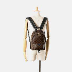 Louis Vuitton Monogram Palm Springs PM