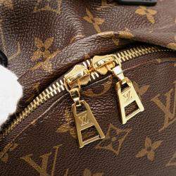 Louis Vuitton Monogram Palm Springs PM