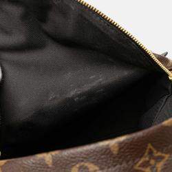 Louis Vuitton Monogram Palm Springs PM
