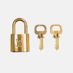 Pre Owned Louis Vuitton Damier Ebene Pegase 45