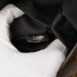 مملوكة مسبقًا ```json
[{ "name": "Monogram Mini Palm Springs", "name_ar": "مونوغرام بالم سبرينغز صغير" }]
```