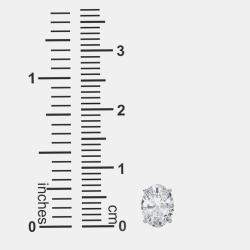 14K Oval Cut Solitaire Lab Grown Diamonds Earrings (3/4 Ctw)
