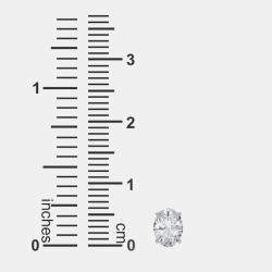 14K Oval Cut Solitaire Lab Grown Diamonds Earrings (3/4 Ctw)