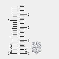 14K Oval Cut Solitaire Lab Grown Diamonds Earrings (3/4 Ctw)