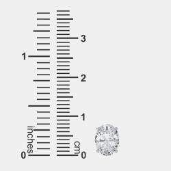 Pre Owned أقراط ألماس مزروعة في المختبر بقطع بيضاوي عيار 14 (1 قيراط)