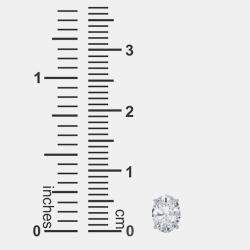 مملوكة مسبقًا 14K Oval Cut Solitaire Lab Grown Diamonds Earrings (1/2 Ctw)