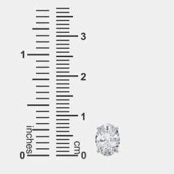 مملوكة مسبقًا 14K Oval Cut Solitaire Lab Grown Diamonds Earrings (1/2 Ctw)