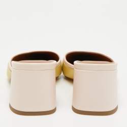 Pre Owned Malone Souliers Yellow/Pink Leather Edie Mules Size 39