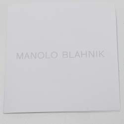 Manolo Blahnik Silver Lurex Fabric Hangisi Pumps Size 38