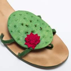 Pre Owned Manolo Blahnik Green Ostrich Leather Flat Sides Size 38