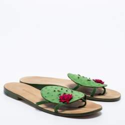 Pre Owned Manolo Blahnik Green Ostrich Leather Flat Sides Size 38