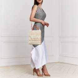 Marni Tricolor Leather and Straw Mini Museo Tote