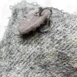 Pre Owned Marni Grey Checkered Wool Oversized Cropped Jacket M