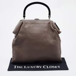 Marni Brown Leather Frame Bag