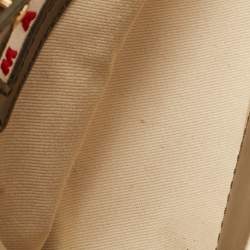 Marni Olive Green Leather and Raffia Micro Tropicalia Bag