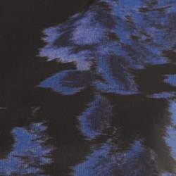 Pre Owned Max Mara Black and Blue Floral Printed Sleeveless Acinoso Gown S