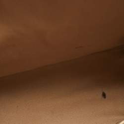 Pre Owned MCM Cognac Visetos Coated Canvas Medium Trilogie Stark Backpack