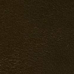 Pre Owned حقيبة سادل مايكل كورس ديلفينا جلد أخضر زيتوني