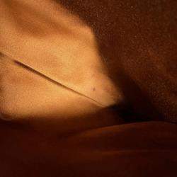 Pre Owned Miu Miu Miu Bow Handbag Leather Bag Brown