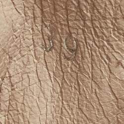 Pre Owned Miu Miu Size 39 Metallic Dark Grey Glitter Studded Cap Toe Low Top Sneakers