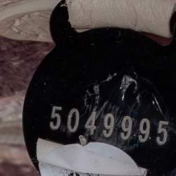 Pre Owned Mulberry Multicolor Tiger Print Woven Raffia And Leather Alexa Satchel