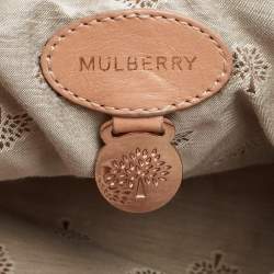 Mulberry Peach Leather Oversized Alexa Satchel