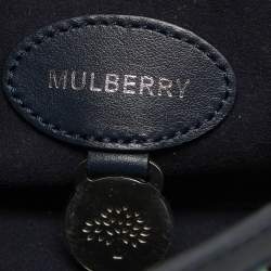 Mulberry Multicolor Leather Woven Delphie Duo Flap Shoulder Bag