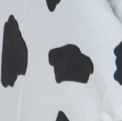 Off-White Monochrome Pois Print Oversize Off The Shoulder Crop Top M