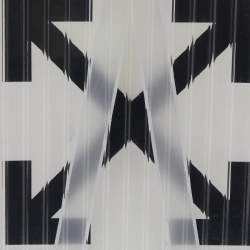 Off-White x Rimowa White/Transparent Plexiglass See Through Suitcase