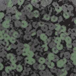 Pre Owned PH5 Multicolour Jersey Sequins Print Heather Maxi Dress M