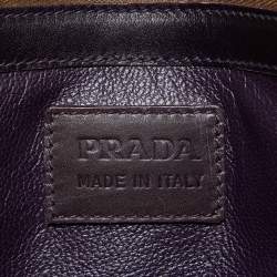 Prada Multicolor Crocodile Leather Lucido Lock Bag
