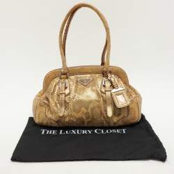 Prada Metallic Python Frame Satchel