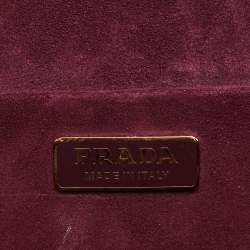 Pre Owned Prada Multicolor Velvet Lions Head Cahier Flap Shoulder Bag