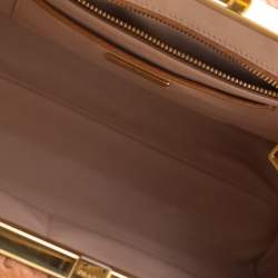 Pre Owned Prada Brown Ostrich Pyramid Frame Top Handle Bag