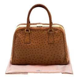 Pre Owned Prada Brown Ostrich Pyramid Frame Top Handle Bag
