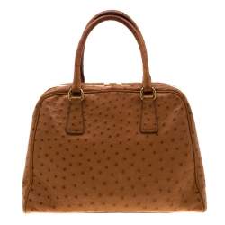 Pre Owned Prada Brown Ostrich Pyramid Frame Top Handle Bag