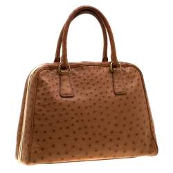 Pre Owned Prada Brown Ostrich Pyramid Frame Top Handle Bag