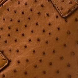 Pre Owned Prada Brown Ostrich Pyramid Frame Top Handle Bag